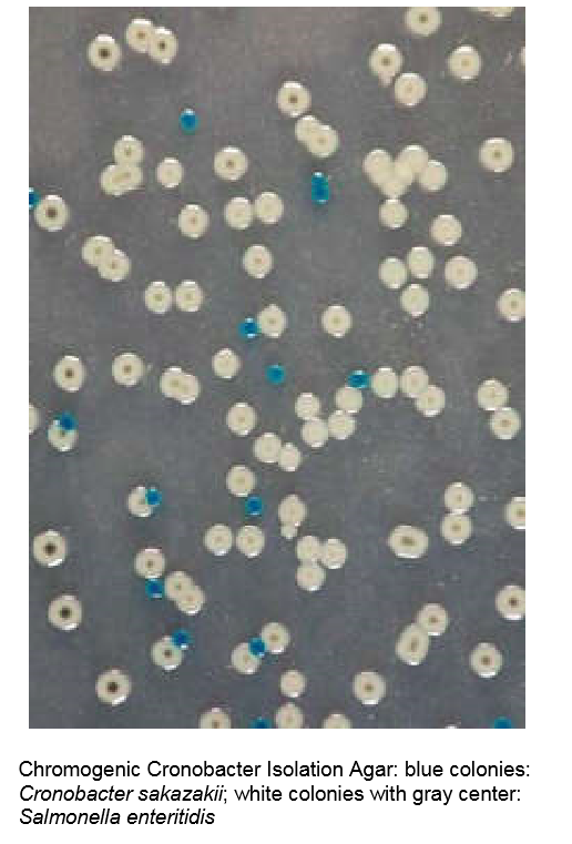 (1f) Pic_Chromogenic Cronobacter Isolation (CCI) Agar