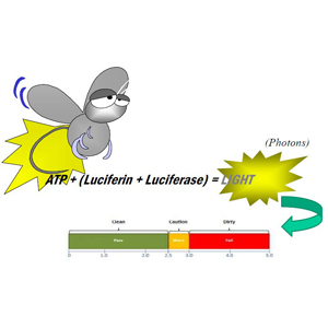 (1)-Pic-2_Bioluminescence
